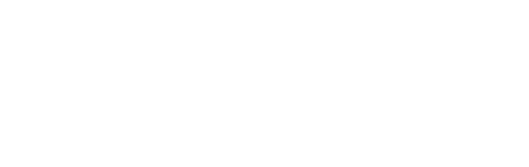 Stach logo